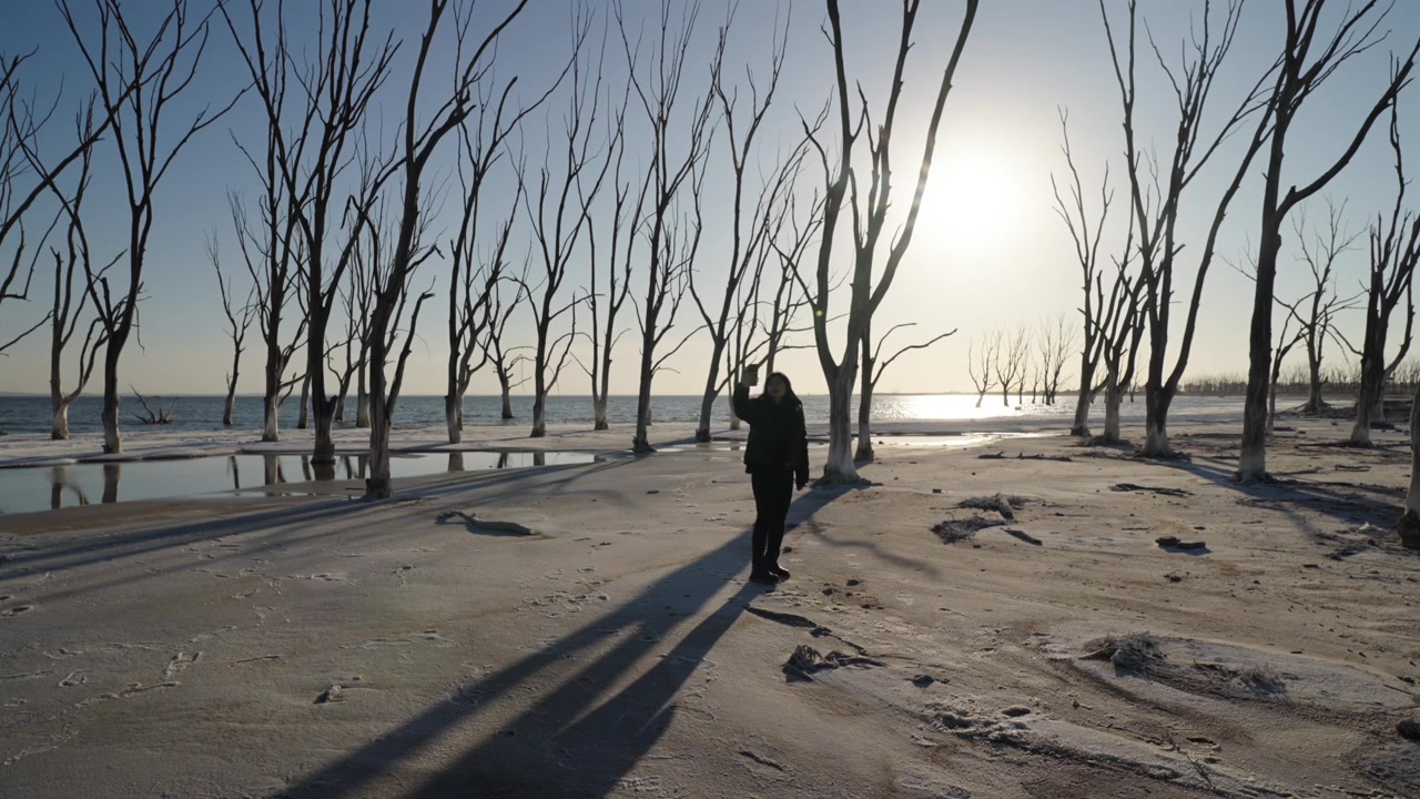 Una silhouette di una persona che tiene in mano uno smartphone alla ricerca di una connessione di rete in un paesaggio surreale di alberi morti al tramonto. Concetto per il lavoro da remoto e la connettività dei nomadi digitali.