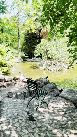 tranquil park scene with pond, green chair, and pigeons