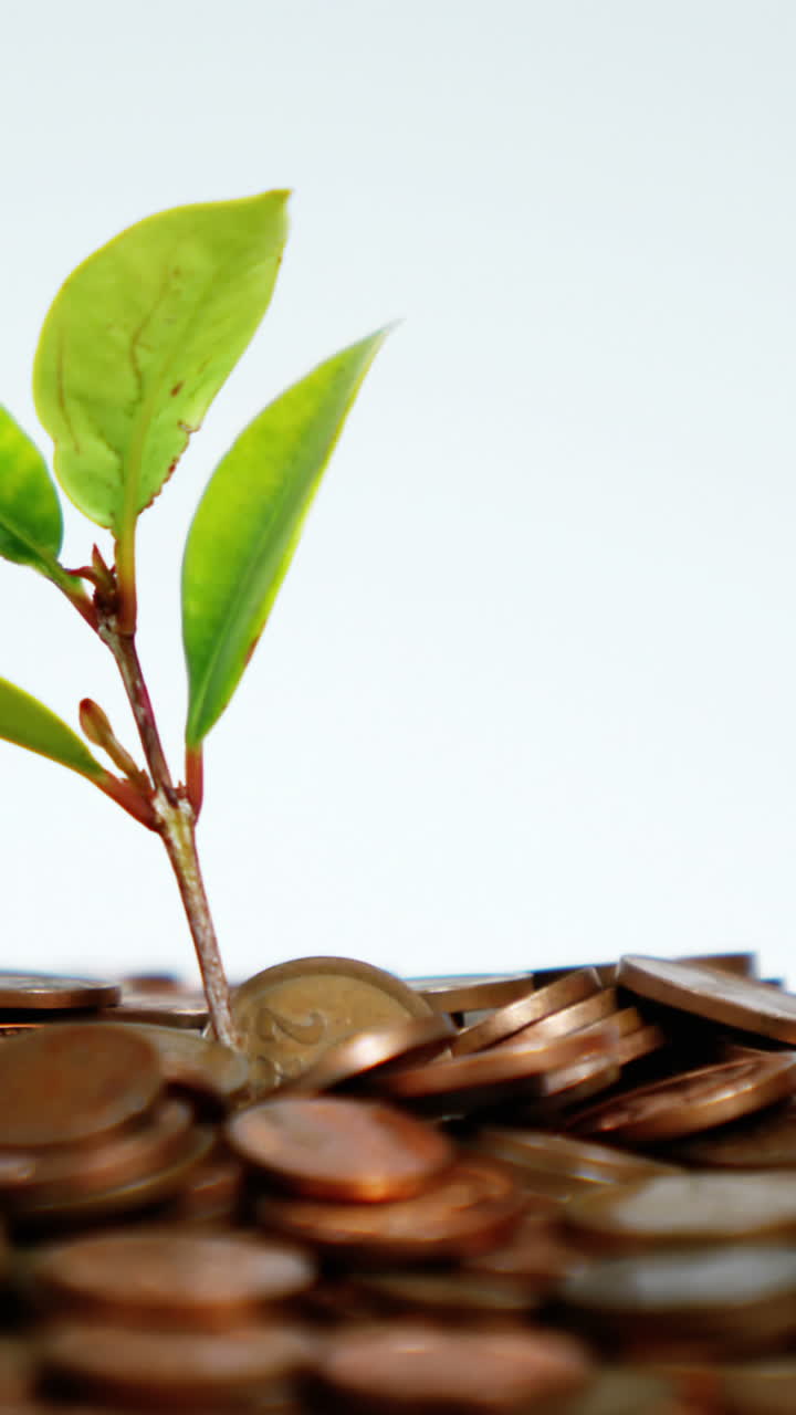 Close-up of plant grows from stack of coins