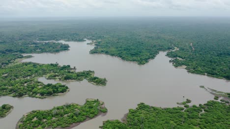 aerial shot flying up the sky showing a lake in the middle of selous jungle, tanzania, in a cloudy day.