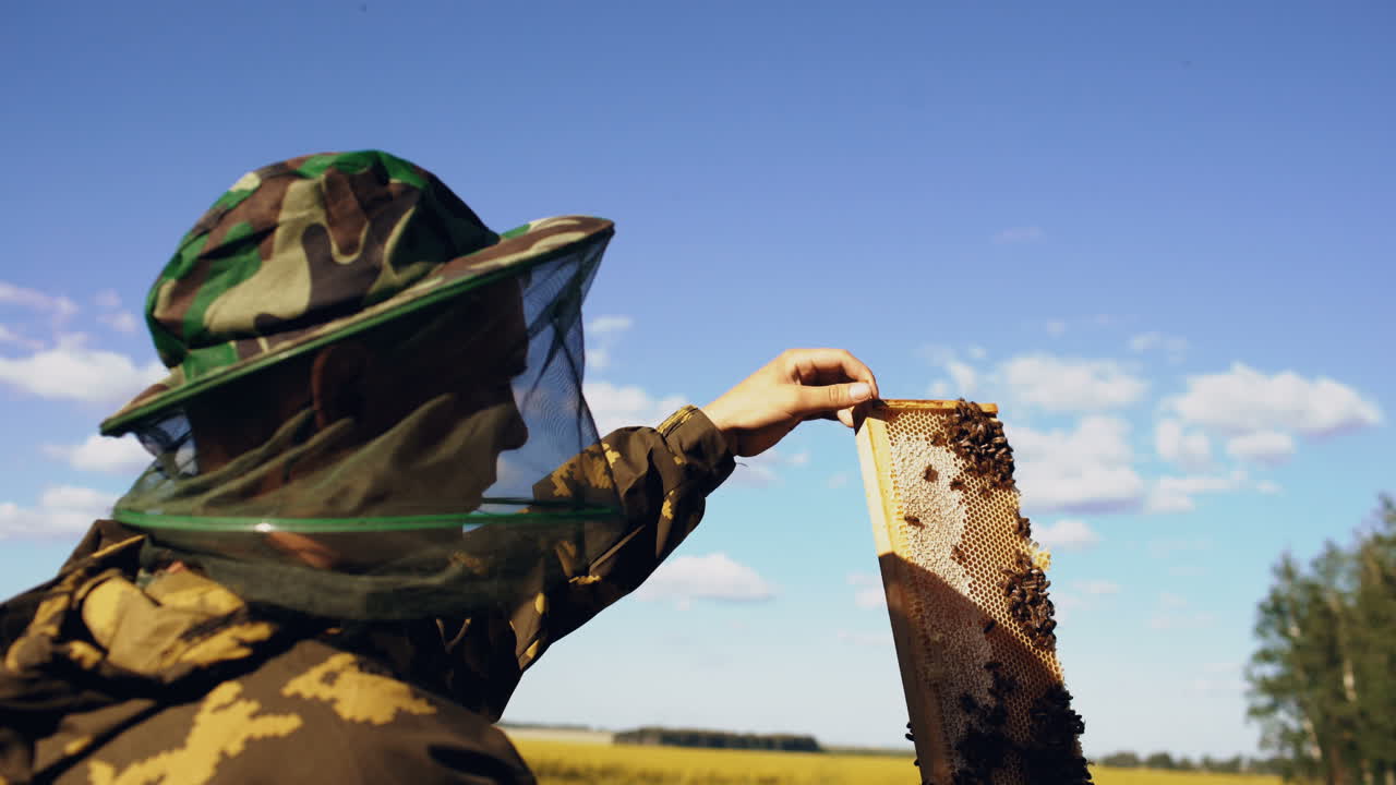 un apicultor inspeccionando el panal de miel