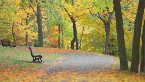 benches line a pathway in a prague park filled with yellow and orange leaves, as more leaves fall from the trees, creating a tranquil autumn view.