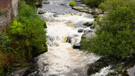 river flowing through greenery and rocks