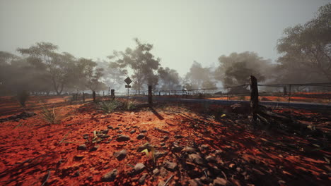 un camino de tierra serpentea a través de un bosque de niebla en el interior de australia