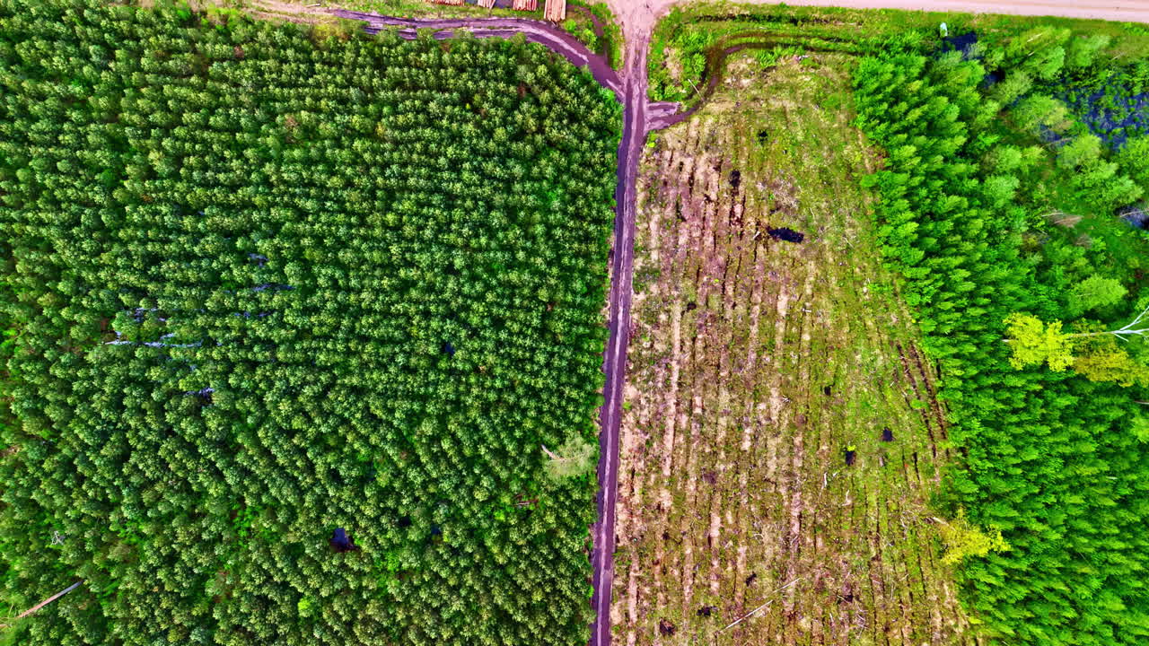 Logging area near forest with stacked timber and muddy vehicle trails seen from above