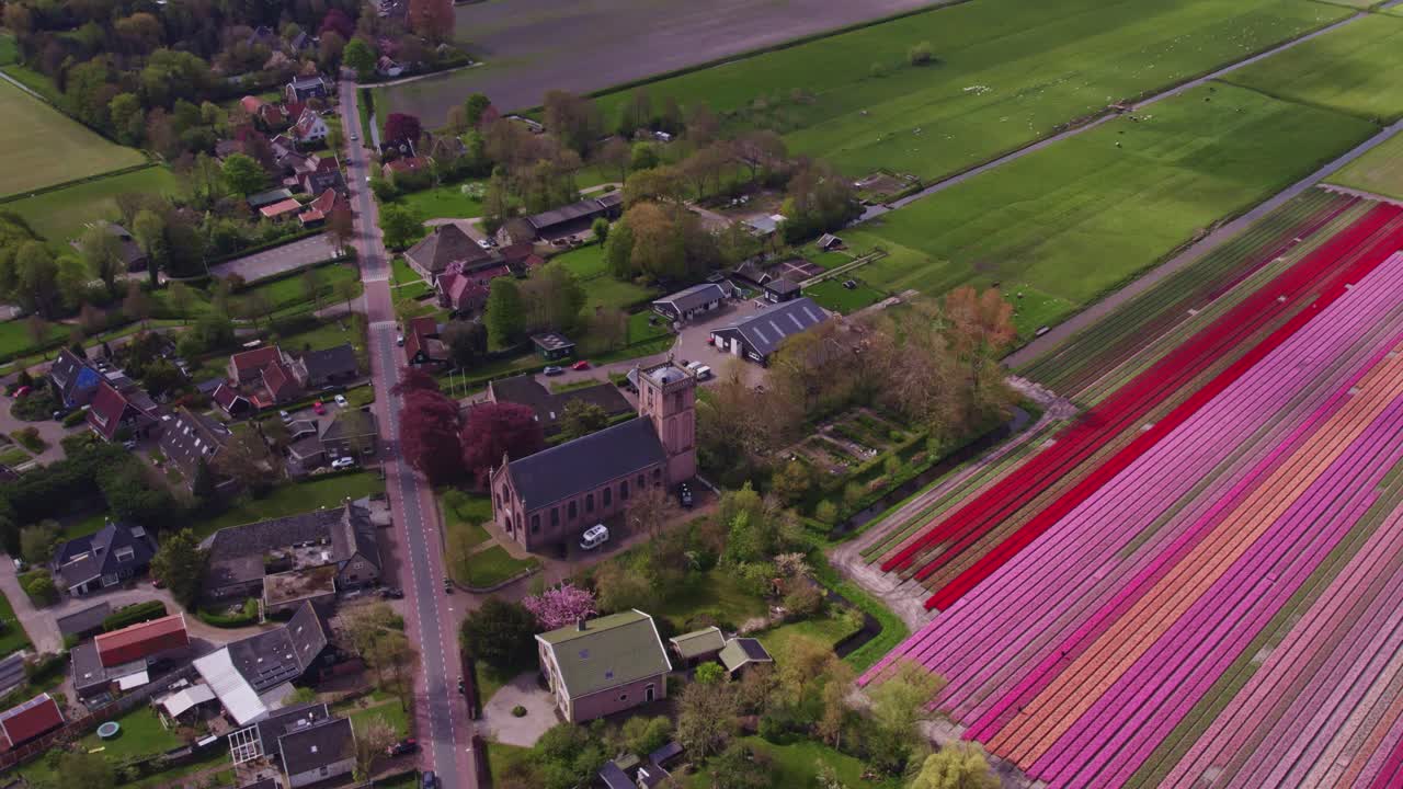 Vista aerea di Aartswoud con tulipani, fiori, chiesa, che mostra un aperto scenario storico nei Paesi Bassi