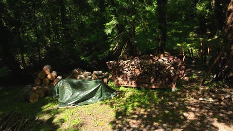 orbiting shot of multiple woodpiles as an outdoorsman prepares for the oncoming winter months