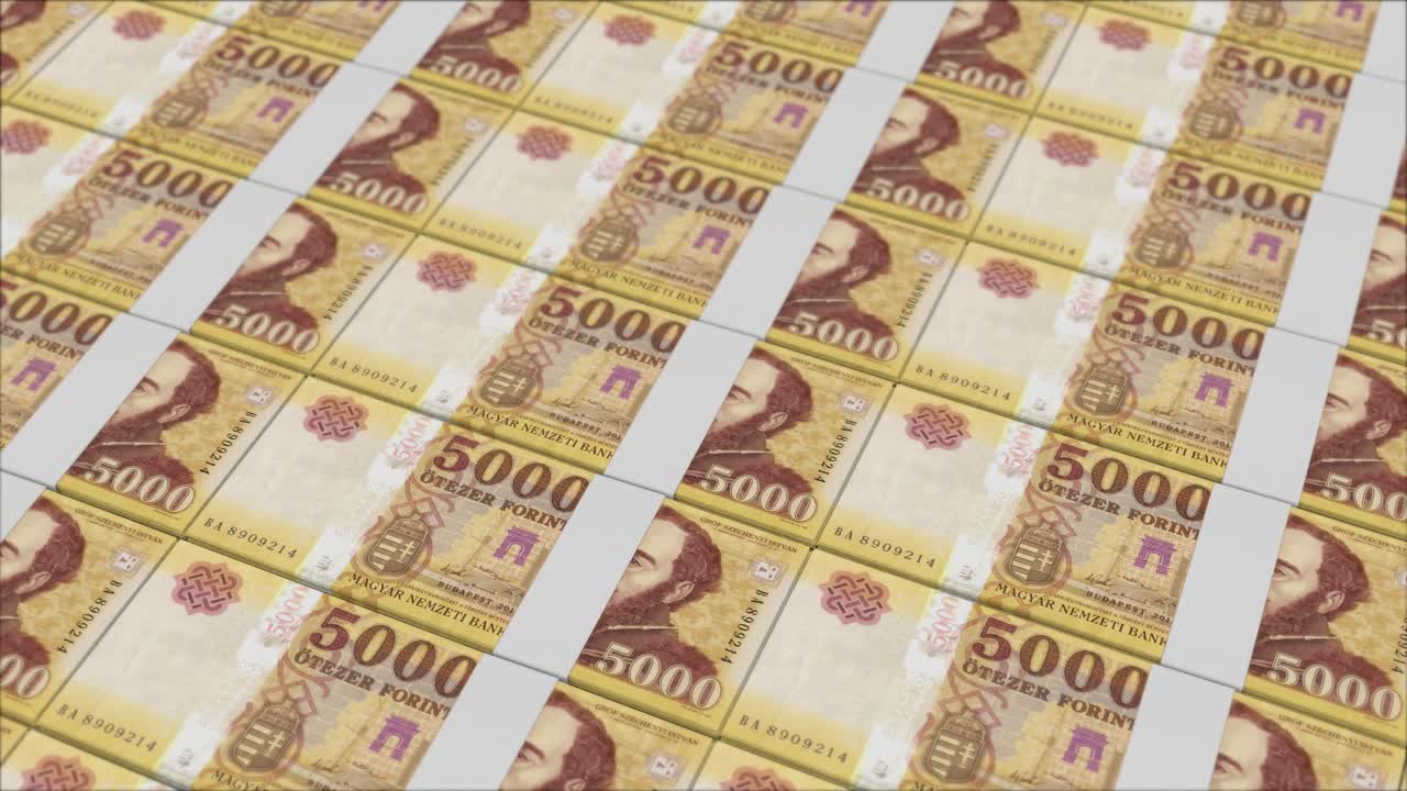 돈 프레스에 의해 인쇄 된 5000  ⁇ 가리 포린트 지폐