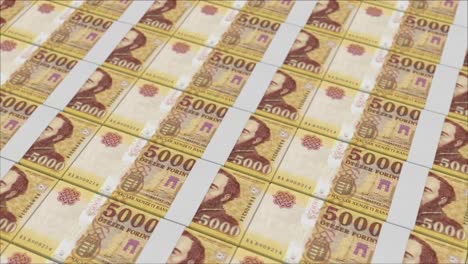 billetes de 5000 forints húngaros impresos por una prensa de dinero