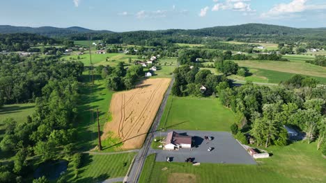 flying over the lush green rural countryside with fields and small clusters of houses on a sunny day