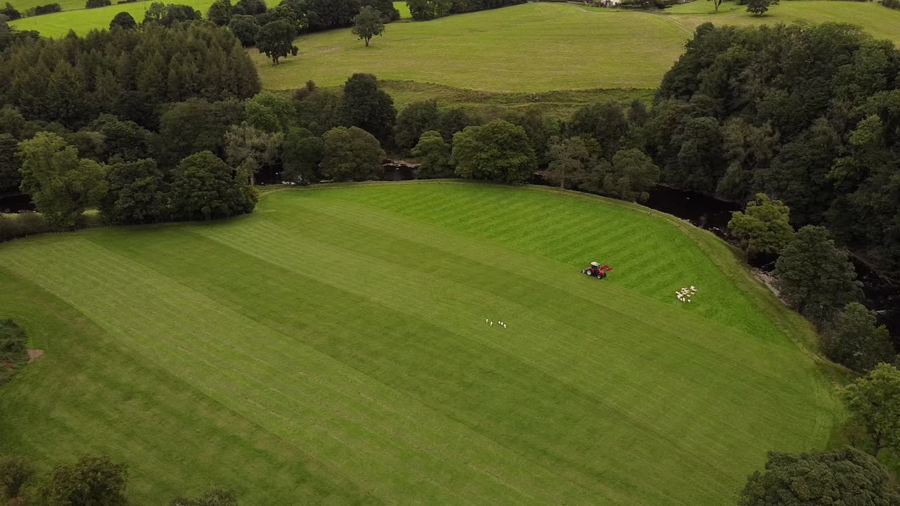 동물과 함께 큰 시골 밭을 경작하는 조감도 트랙터