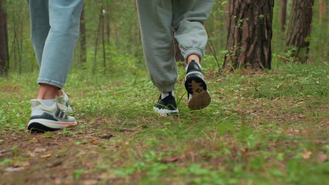 Rear view of two individuals walking in forest wearing sneakers, one in joggers and other in jeans, surrounded by dense green woodland and grassy terrain