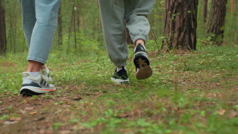 rear view of two individuals walking in forest wearing sneakers, one in joggers and other in jeans, surrounded by dense green woodland and grassy terrain