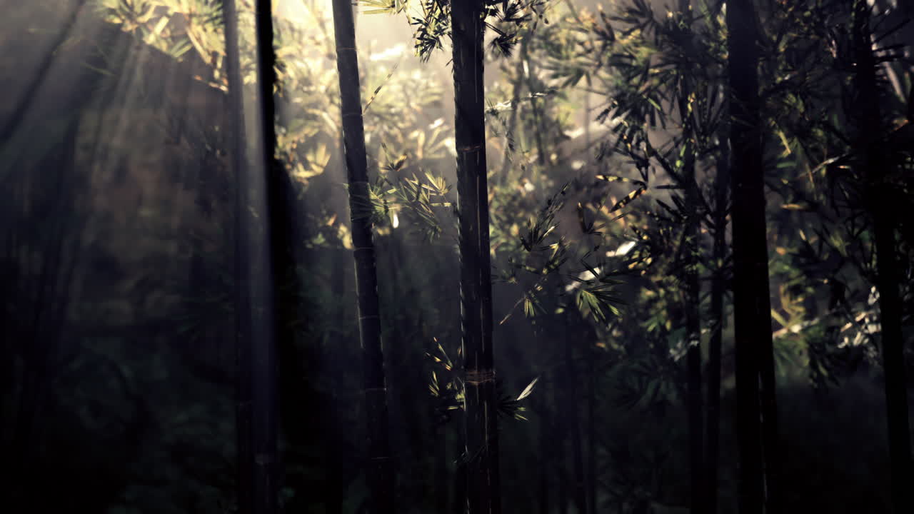 los rayos de sol filtrándose a través de un denso bosque de bambú