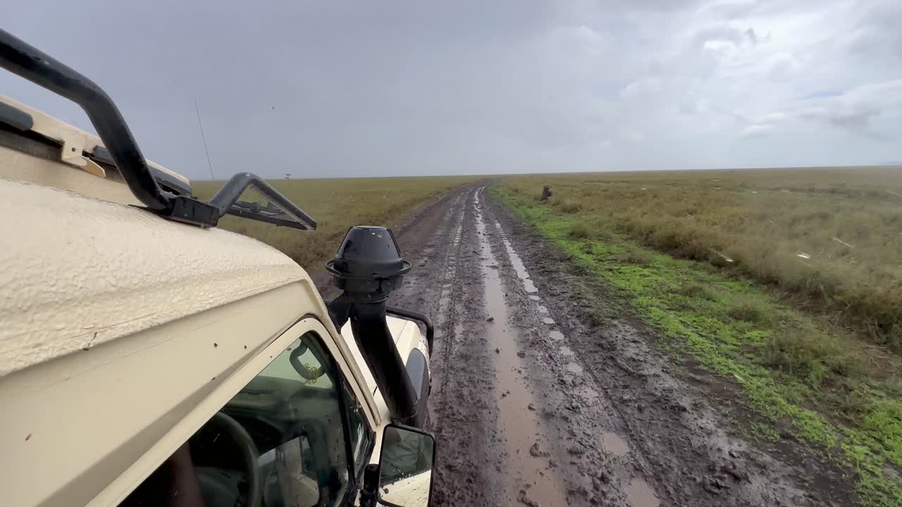 탄자니아 세렌게티 국립공원의 사바나에서 비가 오는 동안 운전하는 사파리 자동차의 모습.