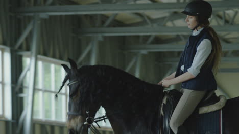 equestrian training session in an indoor arena with horse and rider