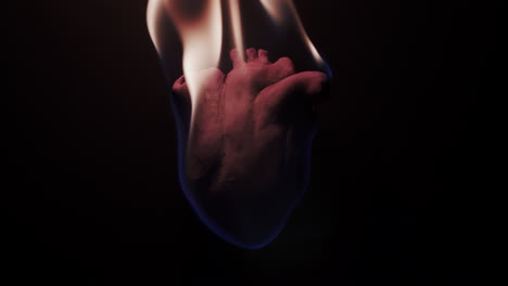 Slow-motion-closeup-of-an-anatomically-correct-heart-burning