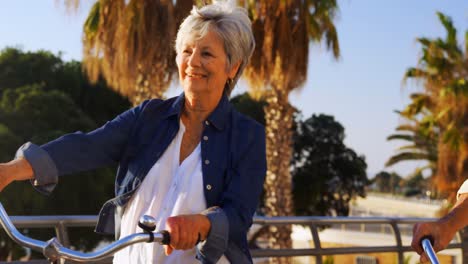 senior couple riding bicycle at promenade 4k