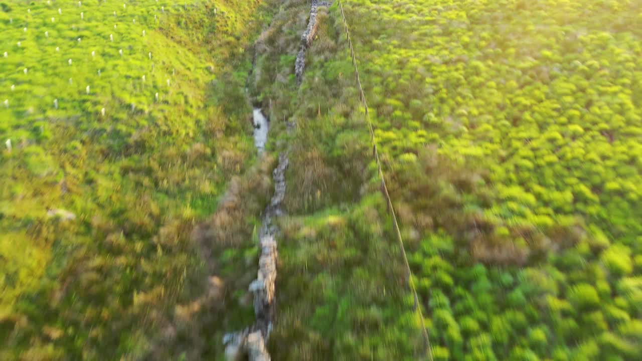 imágenes aéreas sobre los campos de la campiña inglesa al atardecer