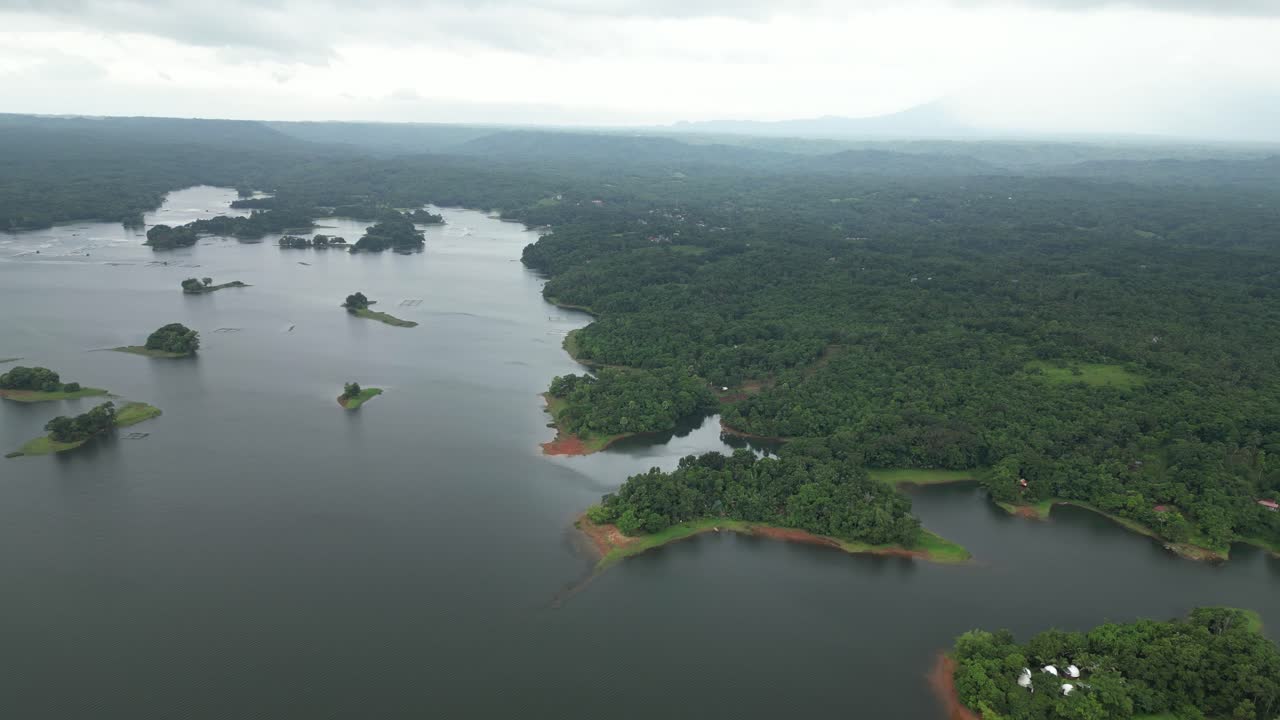 A drone soars over water and dense green trees, with soft fog settling beyond treetops—adding depth and calm to this rich natural view in Laguna