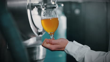 pouring beer at a brewery