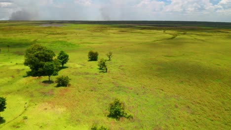 grassy terrain and wetlands at kakadu national park in northern territory, australia