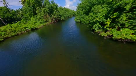 Flight-over-Arroyo-Salado-river-and-tropical-forest,-Cabrera-in-Dominican-Republic