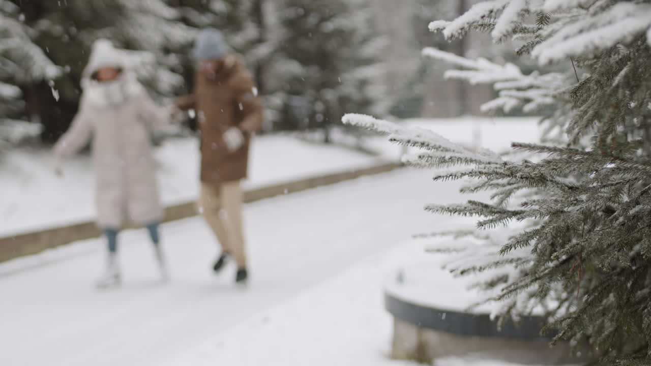 una pareja patinando sobre hielo en un parque nevado.