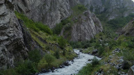 mountain valley with river and lush vegetation