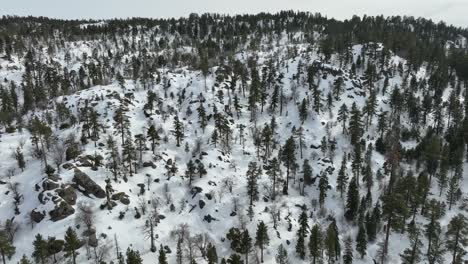 mountains-with-lots-of-woods-and-covered-in-snow-at-Big-Bear-Mountain