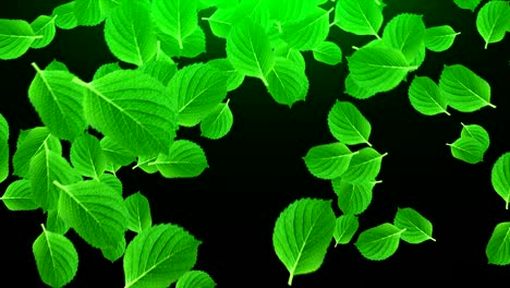 muchas hojas verdes brillantes en el espacio, fondo abstracto generado por computadora, renderizado en 3d