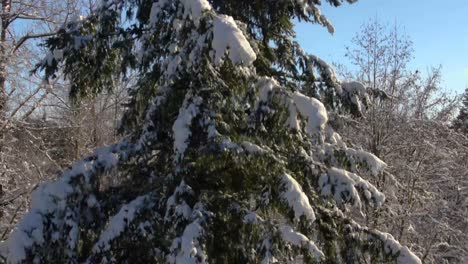 Ariel-footage-of-snow-covered-landscapes