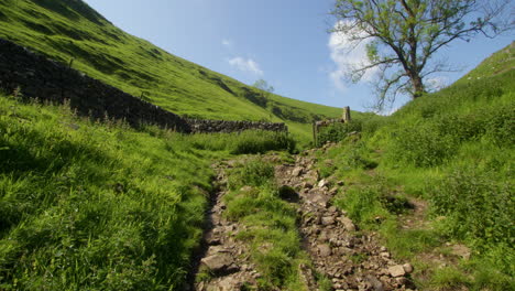 view midway up cave dale showing a path going uphill with a single mature tree right of frame