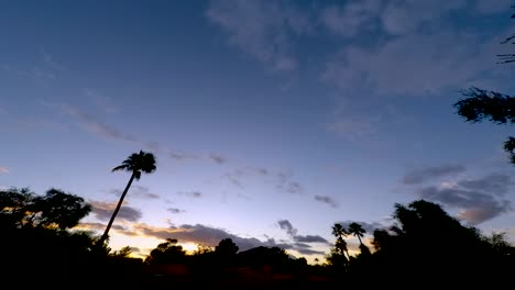 lapso de tiempo un cielo azul se llena de nubes naranjas y amarillas flotando sobre un primer plano recortado de una palmera y otra flora, scottsdale, arizona