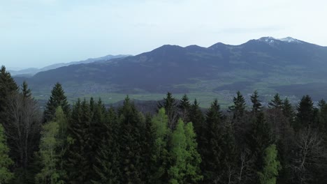 Drohne-Fliegt-Langsam-Entlang-Wald-Mit-Bergen-Im-Hintergrund