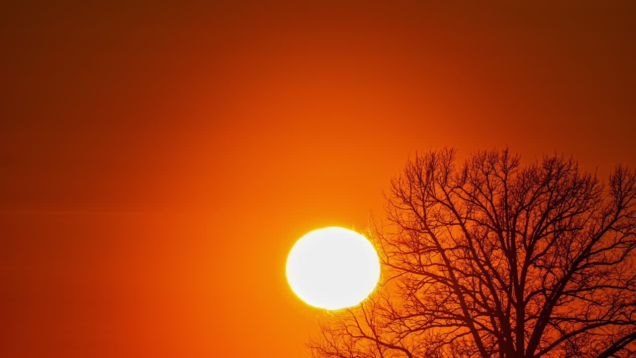 큰 일몰 타임스, 벌거벗은 나무를 통해 다채로운 하늘에서 태양의 클로즈업