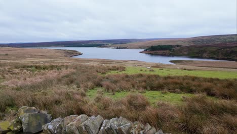 yorkshire moorlands in the english countryside