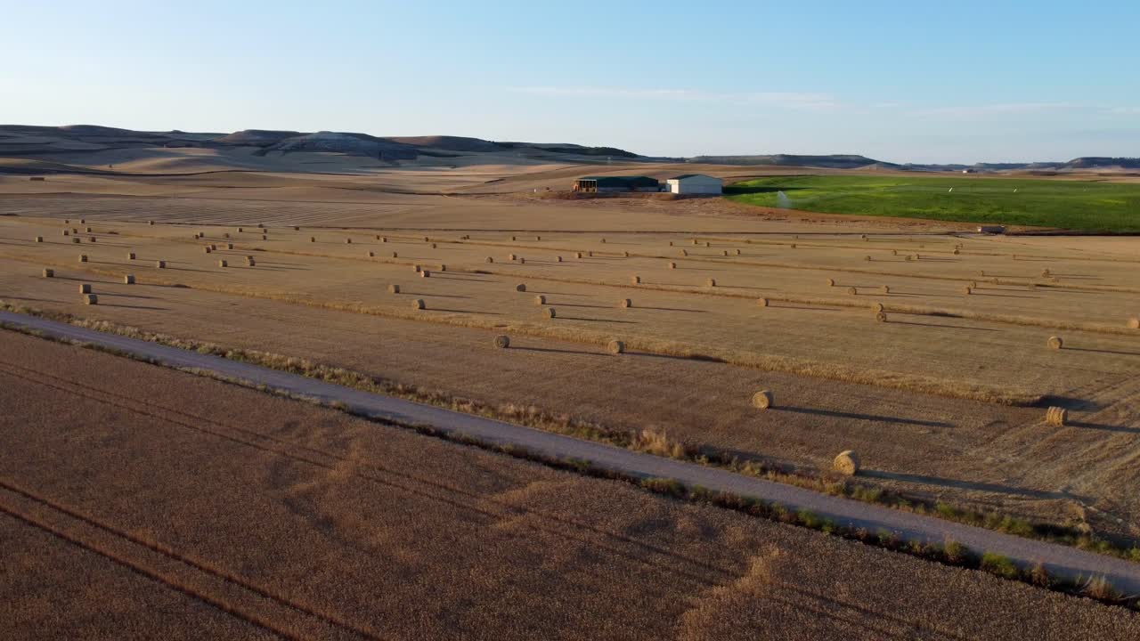 Straw bales at sunset seen from the air, drone view