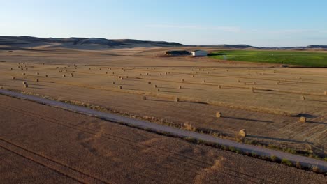 fardos de paja al atardecer vistos desde el aire, vista de drones