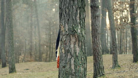 portrait shot of caucasian handsome dad and his cute little boy and girl looking at camera behind a tree trunk in the forest