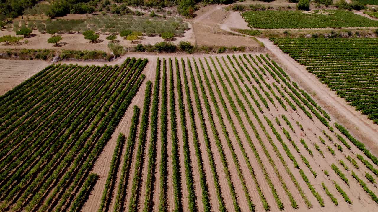 toma aérea de viñedos y cadenas montañosas en un día soleado en lussan
