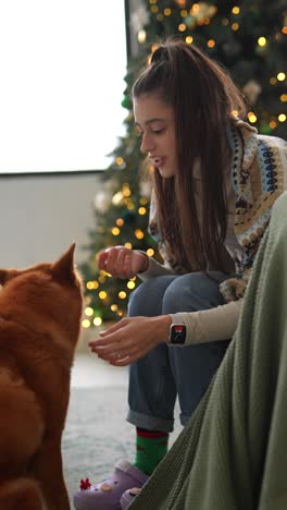 girl playing with dog near christmas tree