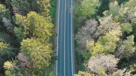 Aerial-drone-shot-road-through-Pinewood-top-down-view-during-late-summer-evening