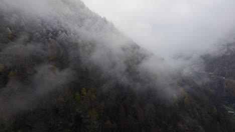 Calm-Backward-flying-drone-video-in-clouds-covered-Swiss-Alps-valley-on-moody-grey-winter-afternoon-with-lush-pine-forests-and-beautiful-snowy-trees-on-alpine-mountains