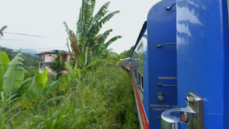 train journey through tropical scenery