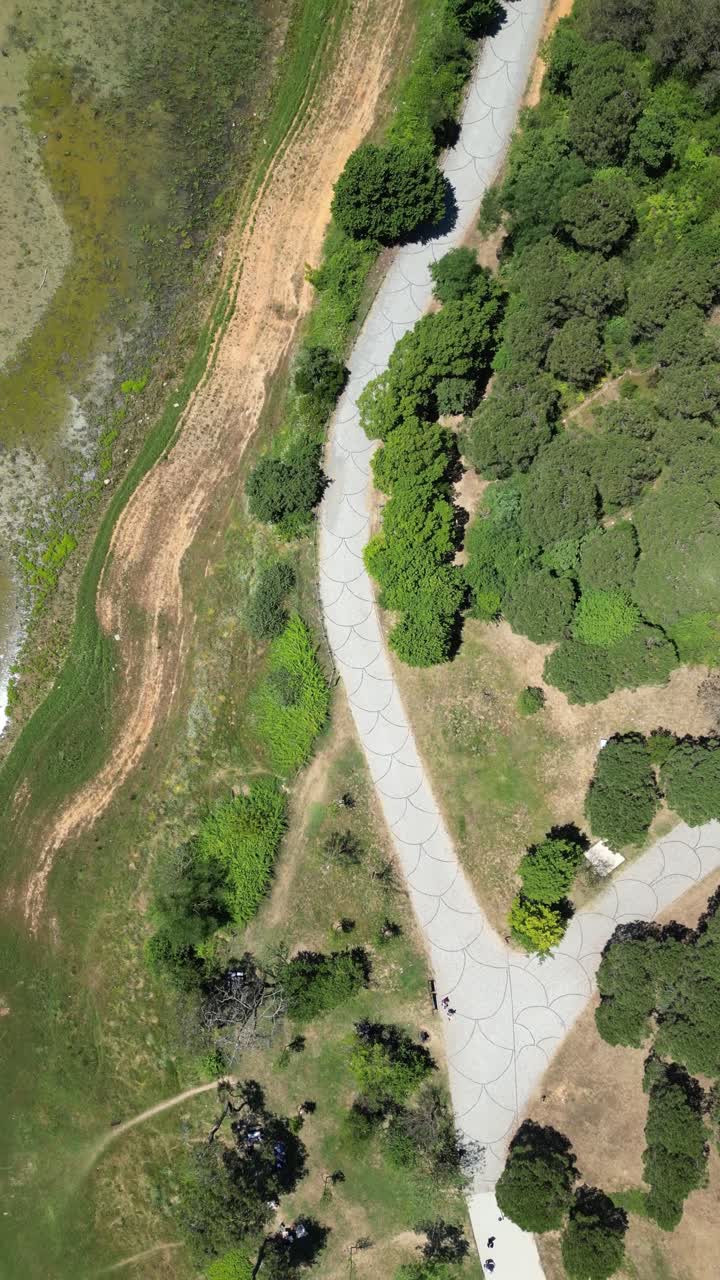 Aerial view of a path through a park