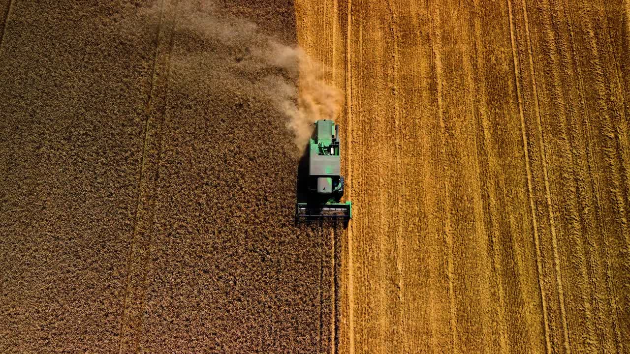 Vista aerea di una macchina agricola che miete il grano in un campo agricolo, ripresa dall'alto.