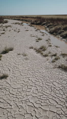 dried-up riverbed with cracked earth