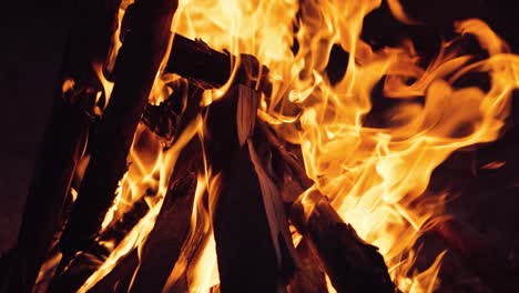 bonfire. burning logs in orange flames. beautiful fire burns brightly. slow motion