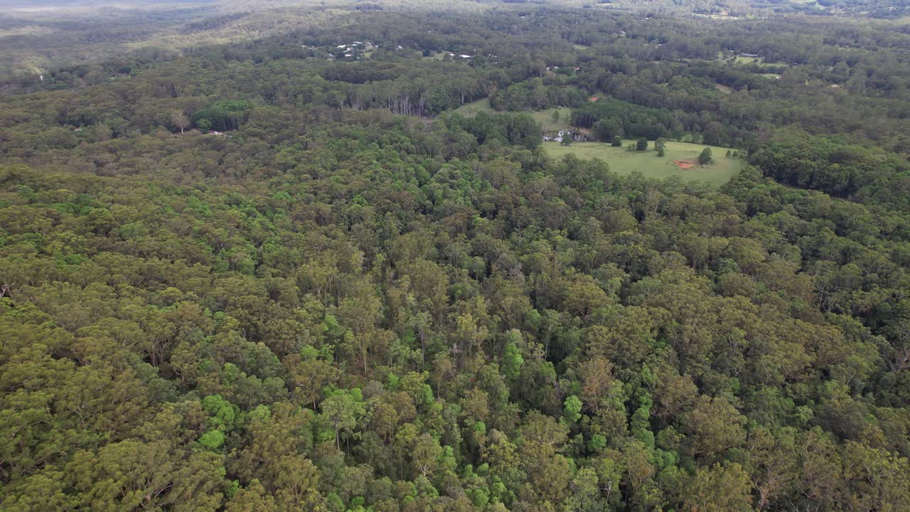 Lush Green Vegetation At Tewantin Forest Reserve In Tinbeerwah, Australia - Drone Shot